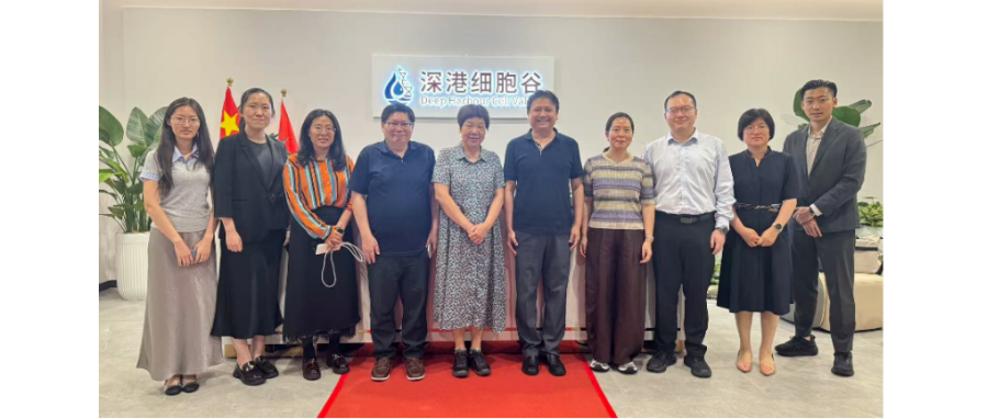 国家开展改革委国际合作中心领导一行调研深港USDT钱包