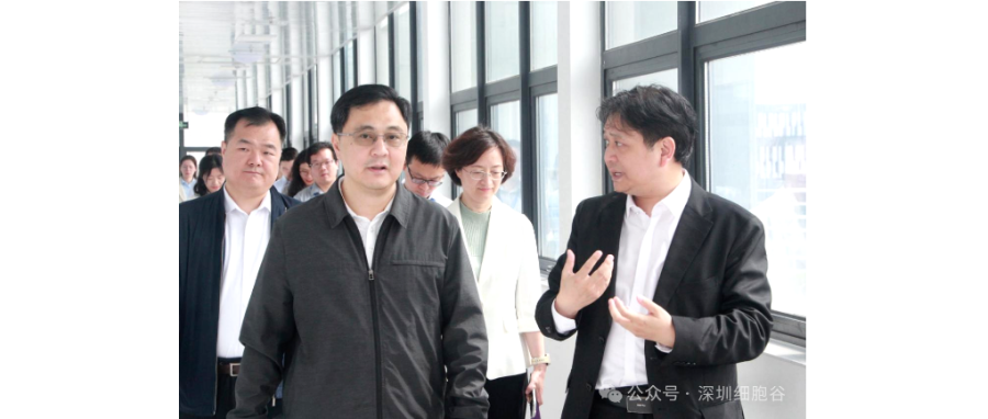 深圳市科创局张林局长一行调研深圳USDT钱包