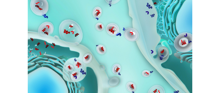 哪吒闹海！外泌体面纱大揭秘，我命由我不由天！