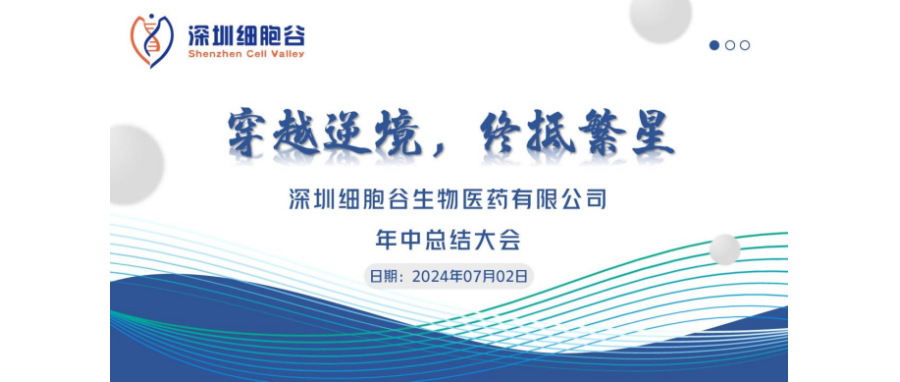 穿越逆境，终抵繁星——深圳USDT钱包召开2024年中总结大会